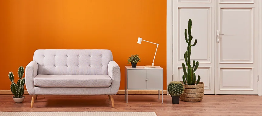 Orange Wall Paint Colour for Living Room