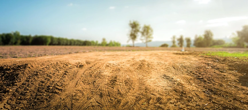 Research the History of the Land or House you’re Buying