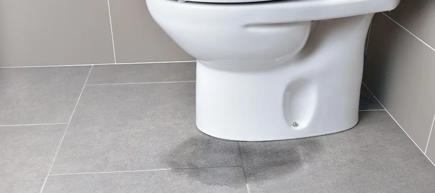 Toilet Leaks