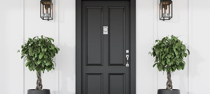 Bold Black Wooden Door Colour for a statement