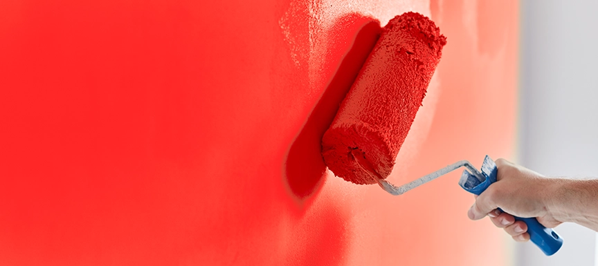 Paint Quality and Sustainability (Eco-Friendly, Paint+)