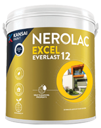 Nerolac Excel Everlast 12