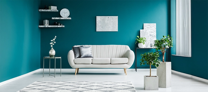 Which Paint Gives the Best Finish for Walls – Distemper Paint Colour or Plastic Emulsion Paint?