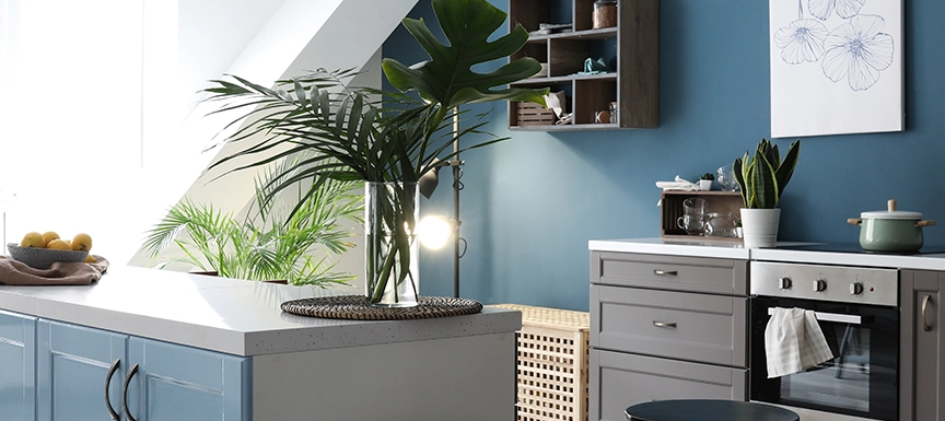 How To Maintain Vibrancy Of Kitchen Colours As Per Vastu