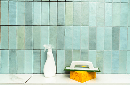 Transverse deformation (S1)