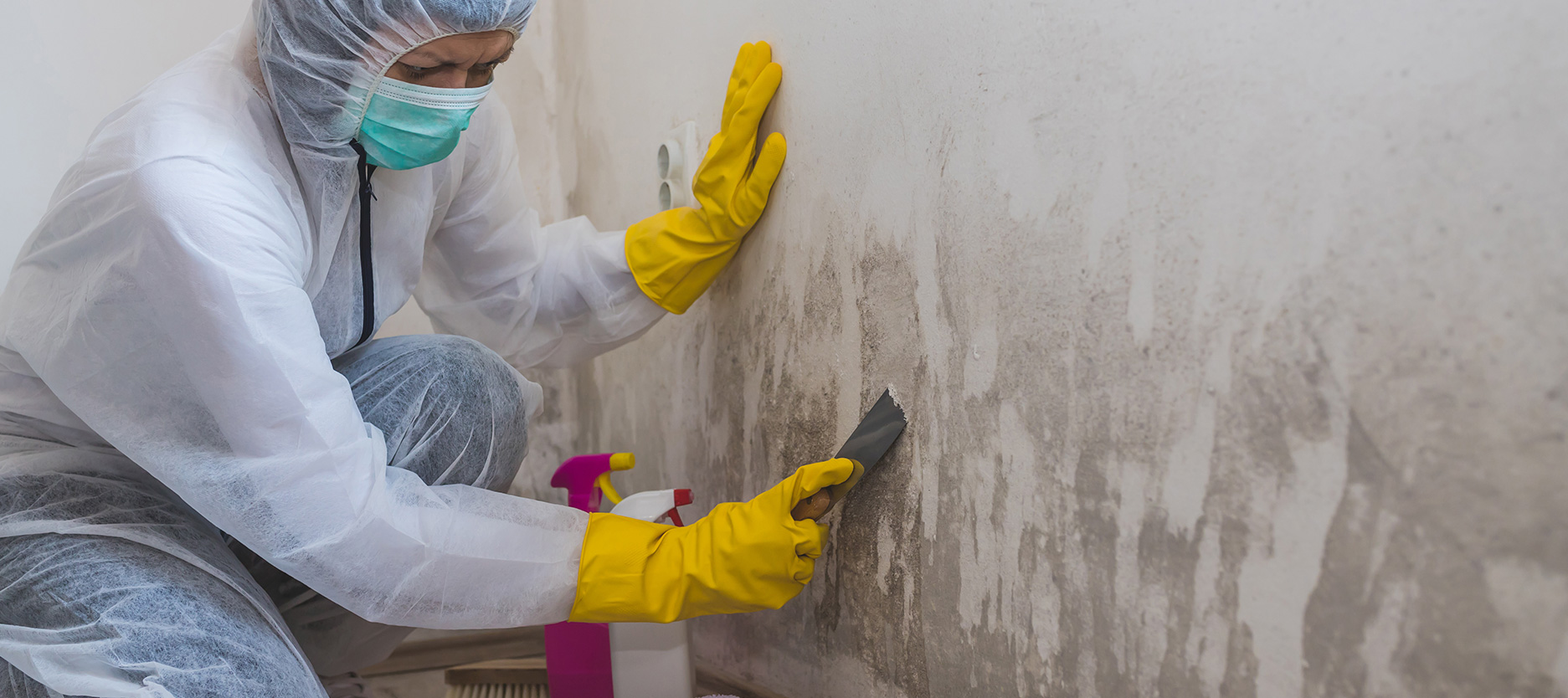 What Are Anti-Fungal and Anti-Bacterial Paints? Benefits & Uses