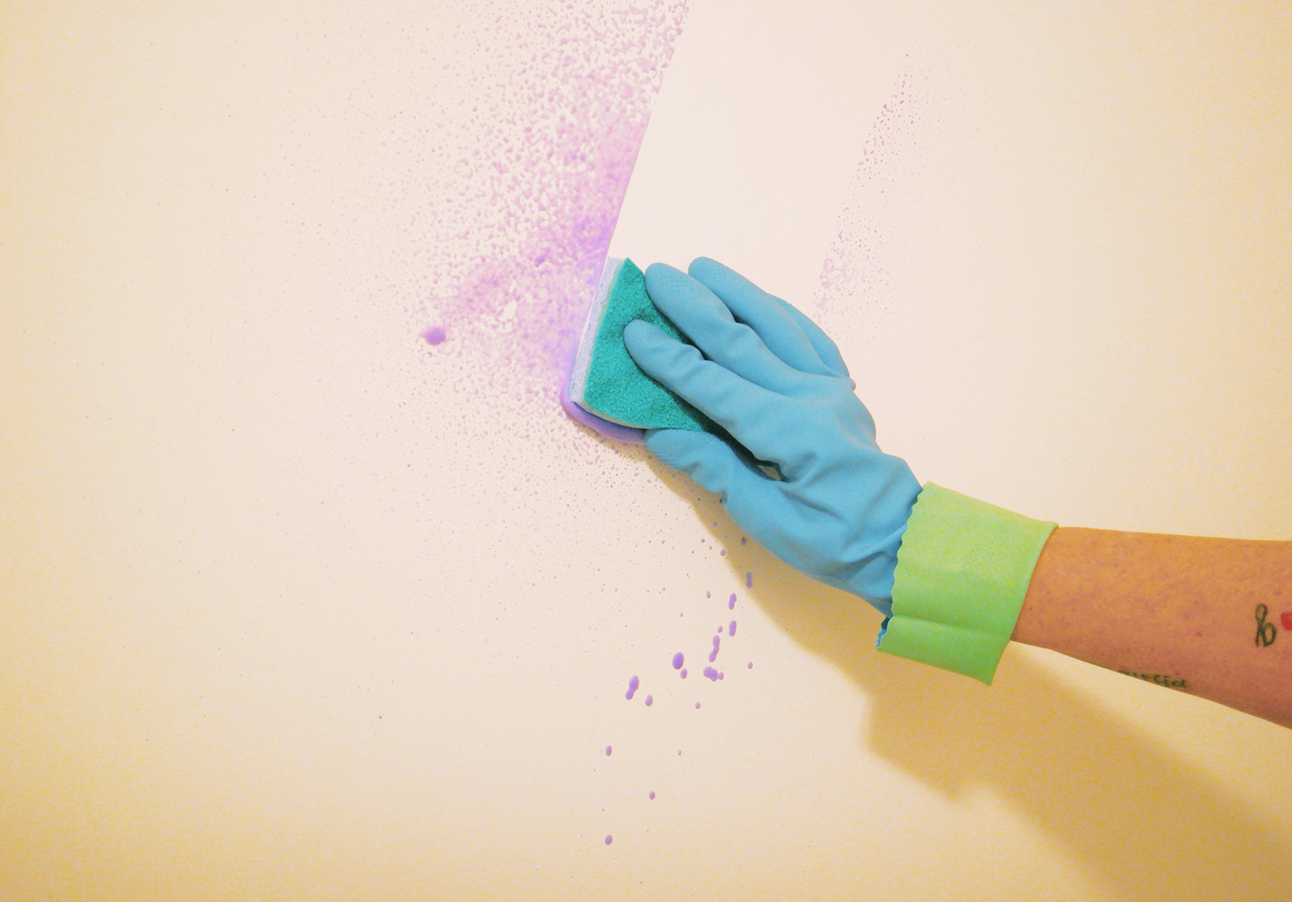 What is Stain Resistant Paint? Benefits and Best Options
