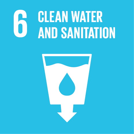 इ SDG 3
