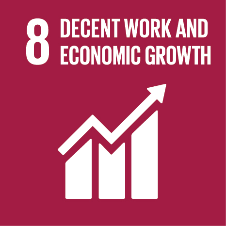 E SDG 3