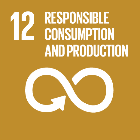 E SDG 4