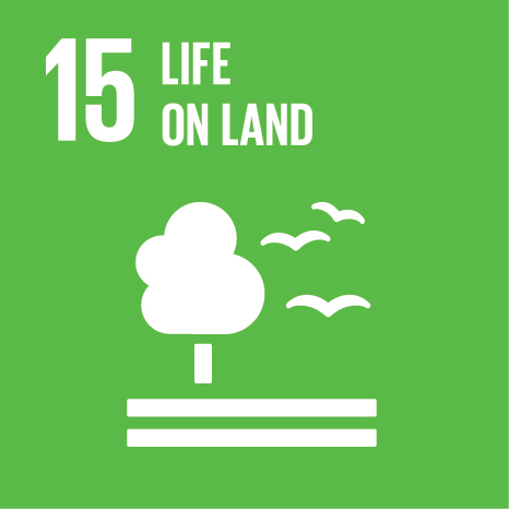 इ SDG 7