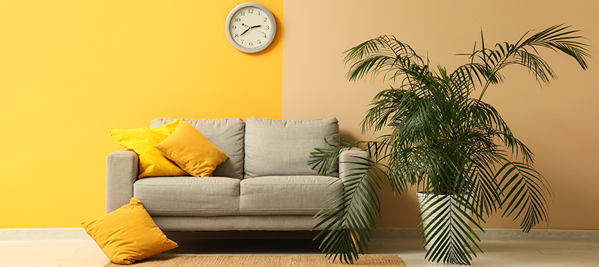 Which Colour Combinations Create Vibrant Haldi Setups?