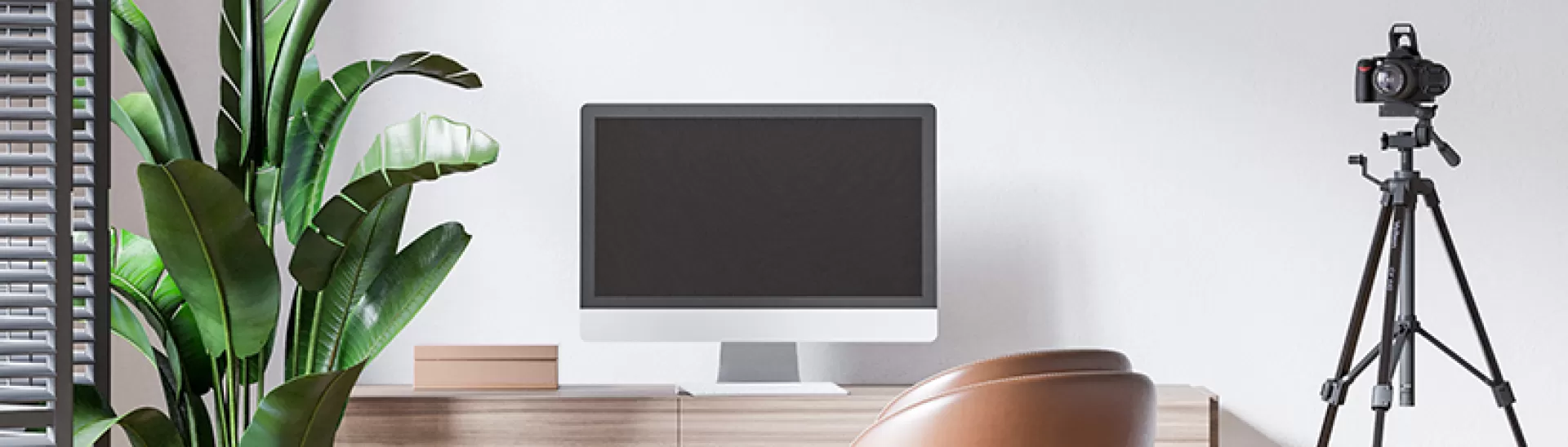 Study Room Design: Top 10 Painting & Décor Ideas