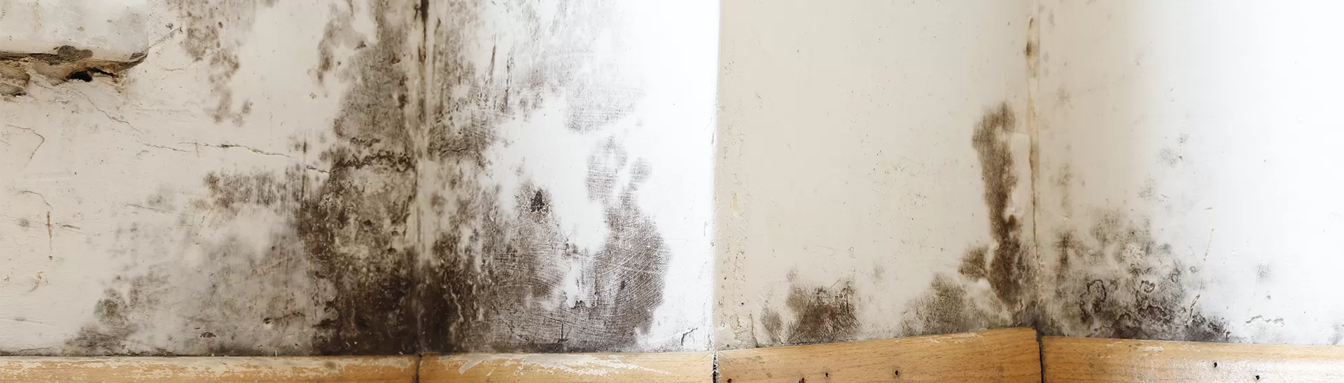 Wall Seepage: 10 Effective Tips and Tricks to Prevent It for Monsoons