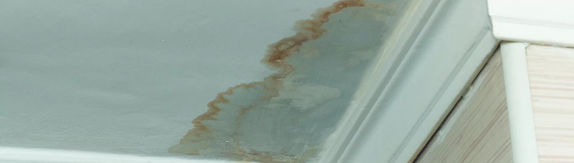 How to Identify Water Leakage in Your Home - 5 Common Signs & Fixes