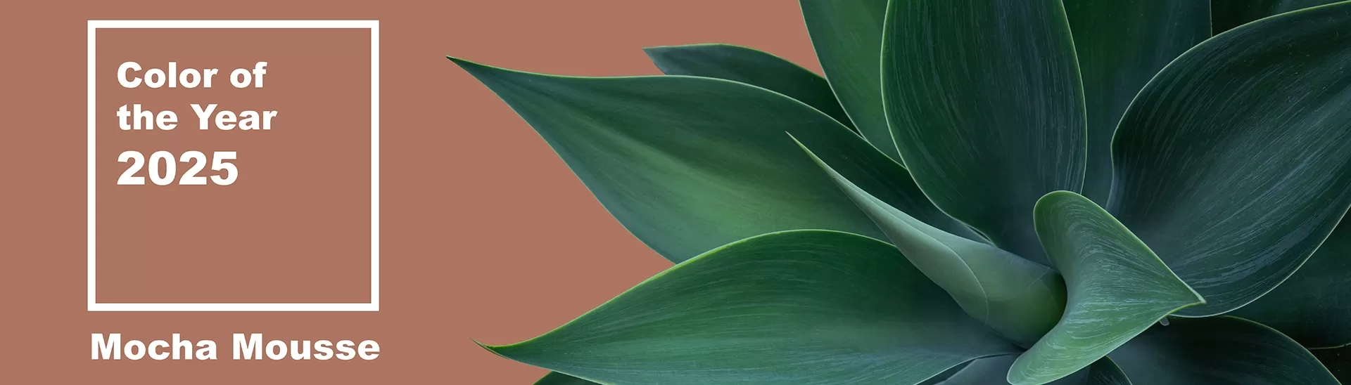 Top 10 Mocha Mousse Colour Combinations and Photo Inspirations