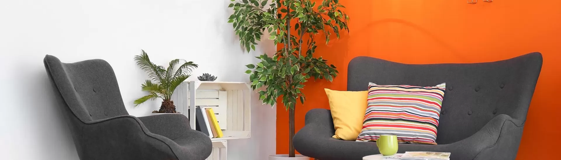 5 Colour Combinations That Go with Orange for Your Home