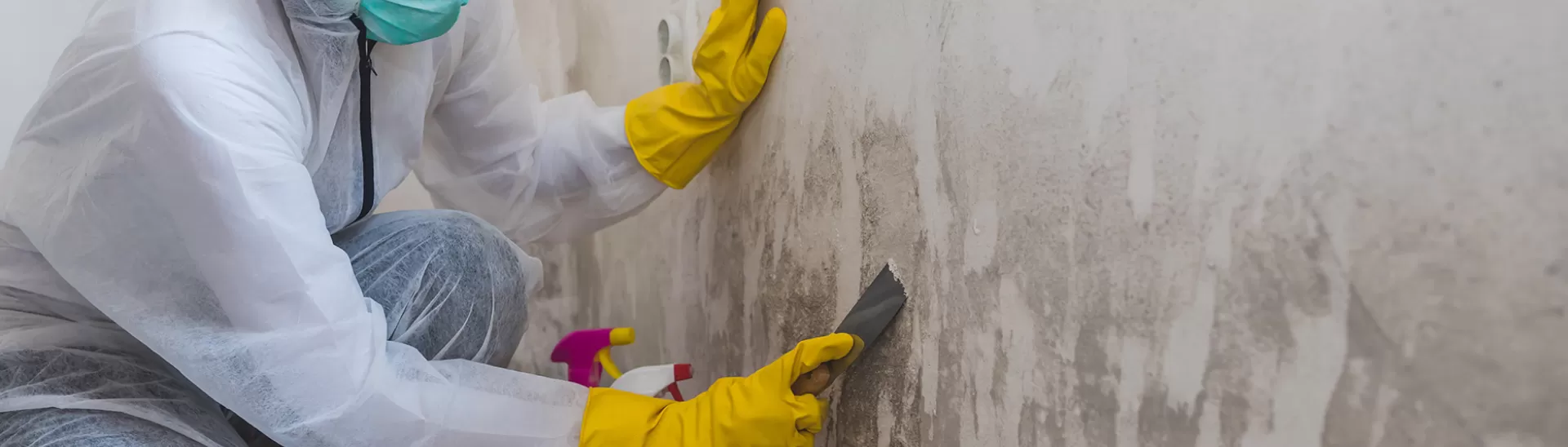 Anti-microbial primer