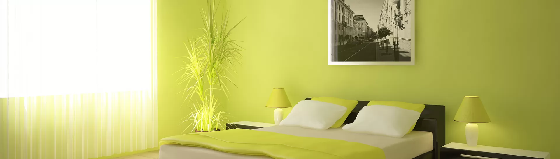 Best Green Colour Combinations for Walls – Schemes & Design Ideas