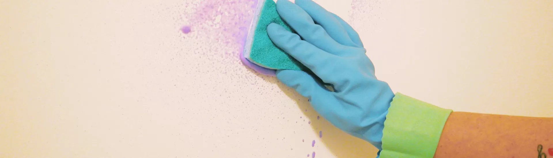 What is Stain Resistant Paint? Benefits and Best Options