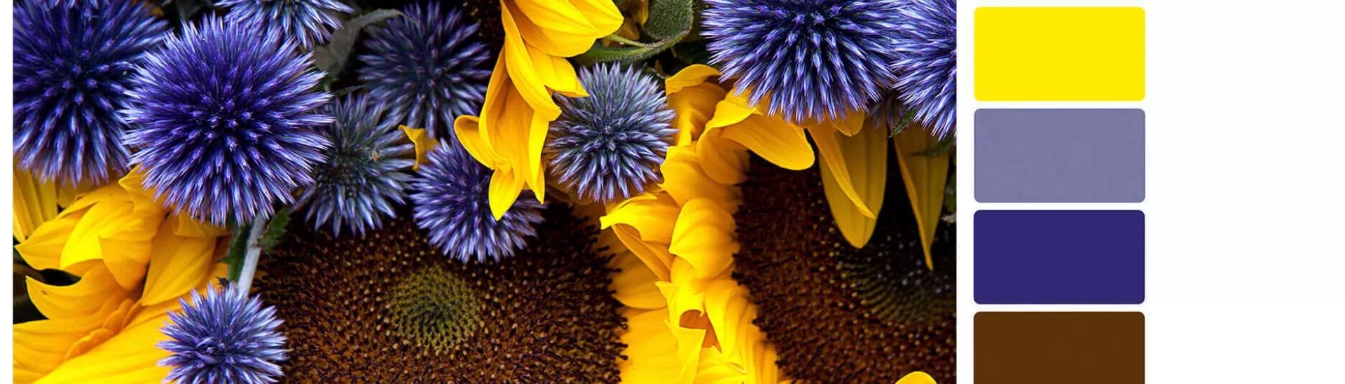 Holiday Colour Scheme Ideas for Walls - Bright & Festive Inspiration