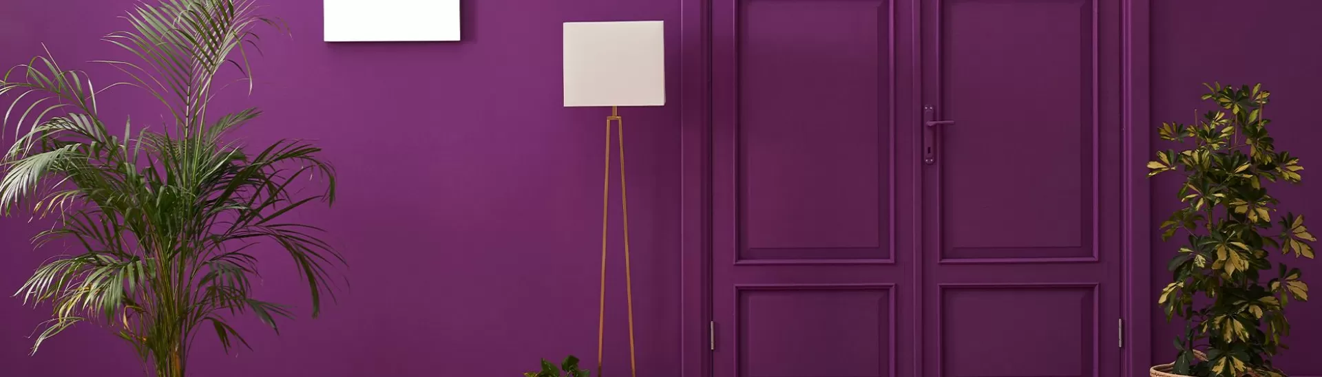 Playing Around with Purple Wall Colour in Your House