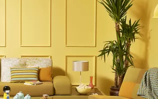 What Is the Best Haldi Decoration for Home & Weddings?