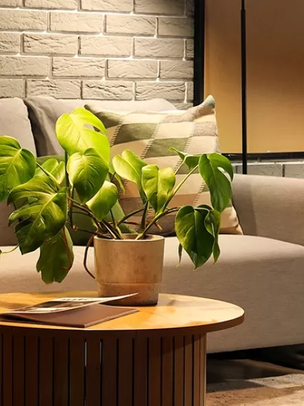 House Interior Design & Interior Architecture: Creating Spaces That Inspire 