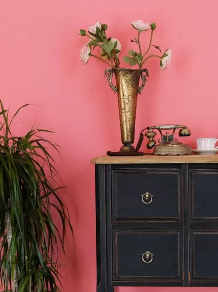 How to Make Pink Colour: Tips for Perfect Wall Paint Shades & Home Décor Ideas How to Make Pink Colour: Tips for Perfect Wall Paint Shades & Home Décor Ideas