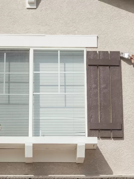 What is Distemper Paint? Distemper Colour Benefits & Uses