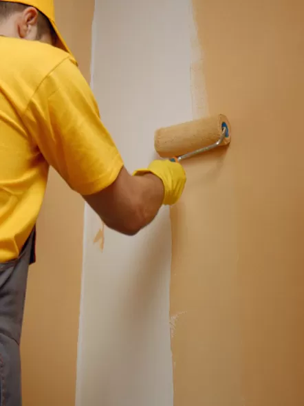 What is Synthetic Enamel Paint and Its Uses?