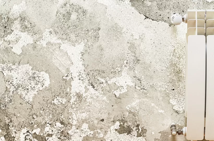 Wall Dampness: Effective Solutions to Prevent Damp Walls At Home