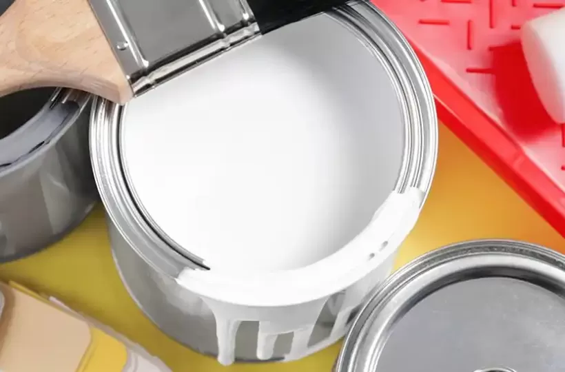 What Are the Best Paint Brushes, Rollers & Painting Tools for Walls?
