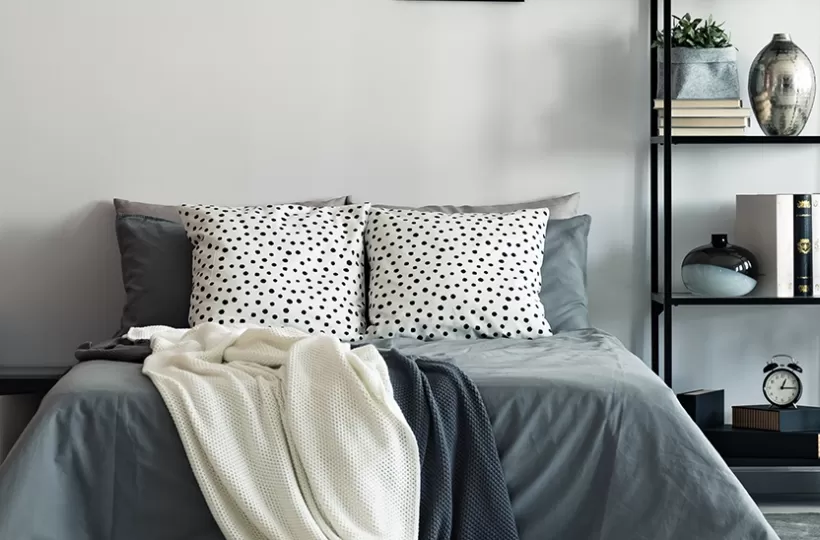 Modern Two Colour Combination Ideas for Living Room Walls