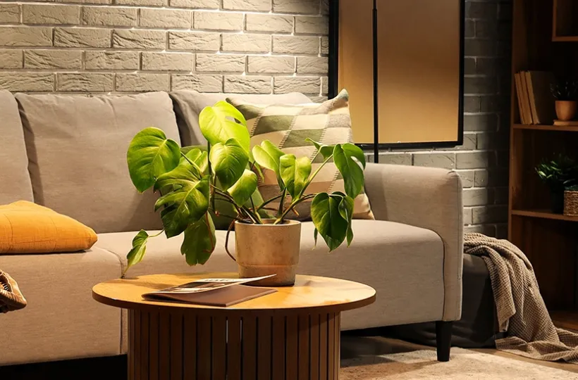 House Interior Design & Interior Architecture: Creating Spaces That Inspire 