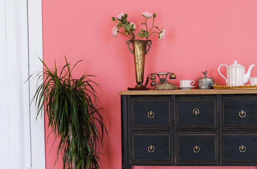 4 Shades of Pink that will Give a Dynamic look to Your Home