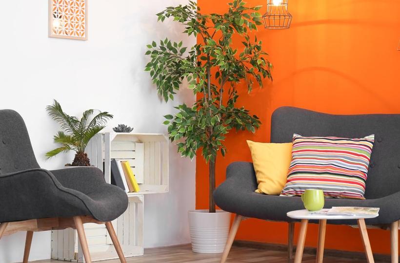 5 Colour Combinations That Go with Orange for Your Home
