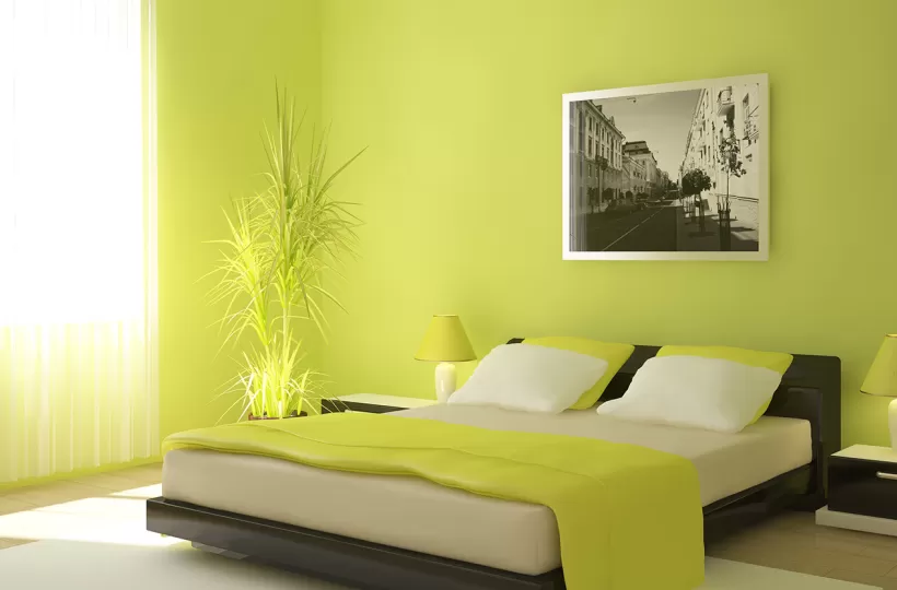 Best Green Colour Combinations for Walls – Schemes & Design Ideas