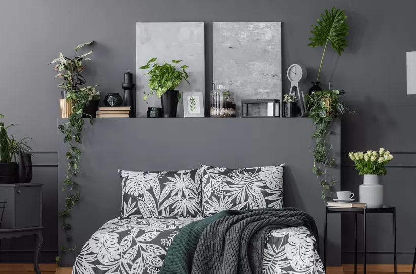 Creative Ideas to Decorate and Design a Plain Wall