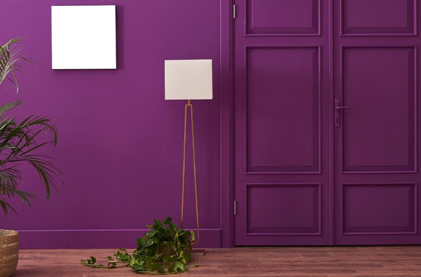 Playing Around with Purple Wall Colour in Your House