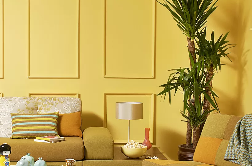 What Is the Haldi Ceremony? Meaning, Decoration & Colour Guide