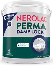 Nerolac Perma Damp Lock