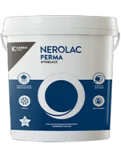 Nerolac Perma Bitu Black