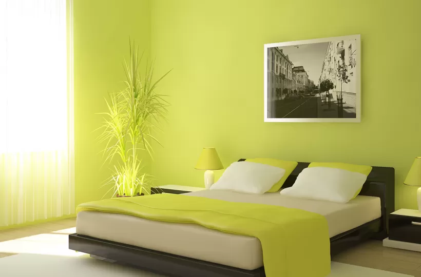 12 Stylish Green Colour Combinations and Photos