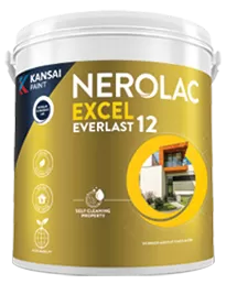 Excel Everlast 12