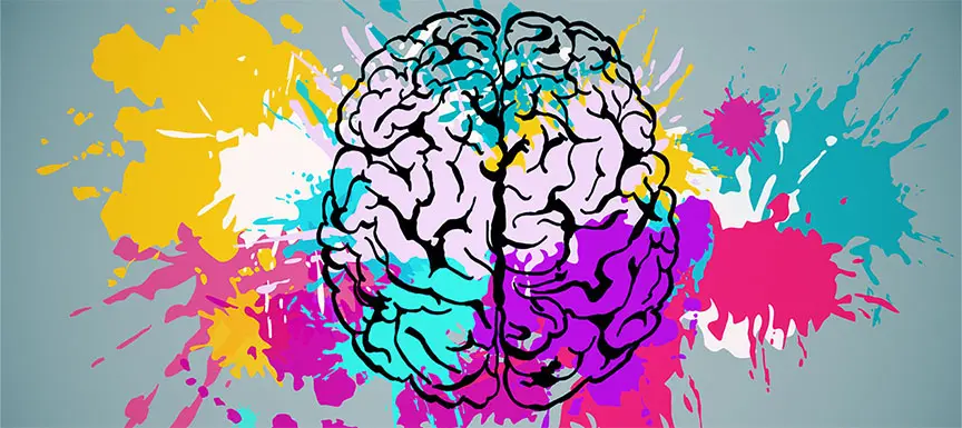 Human Brain Colour Regions by Nerolac in 2023